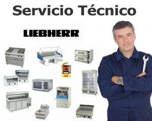 Servicio Técnico Liebherr en Mijas, Reparamos Liebherr